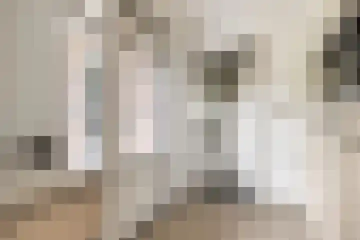 Annekeswei 6 Klein Zundert thumbnail 25