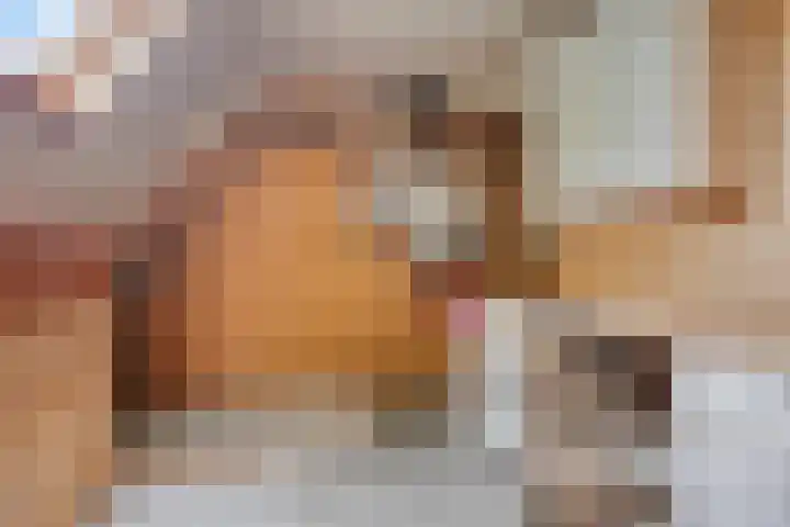 Annekeswei 6 Klein Zundert thumbnail 34