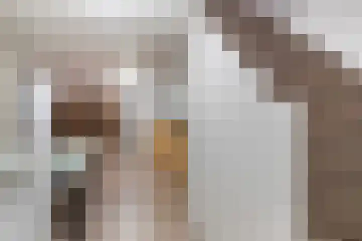 Annekeswei 6 Klein Zundert thumbnail 39