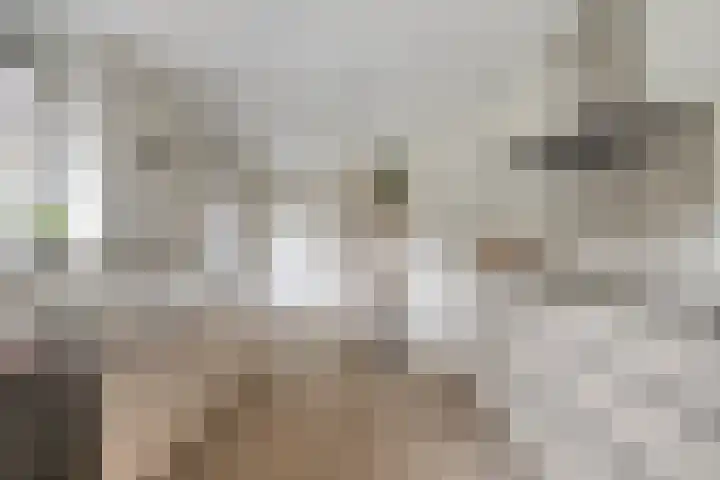 Annekeswei 6 Klein Zundert thumbnail 4