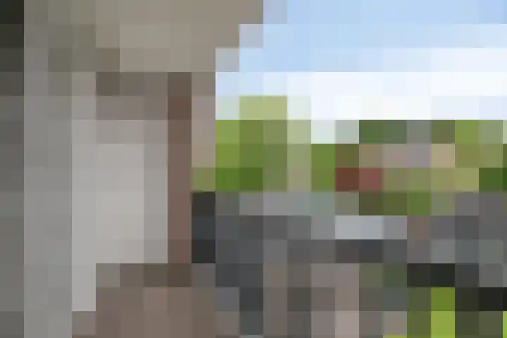 Annekeswei 6 Klein Zundert thumbnail 43