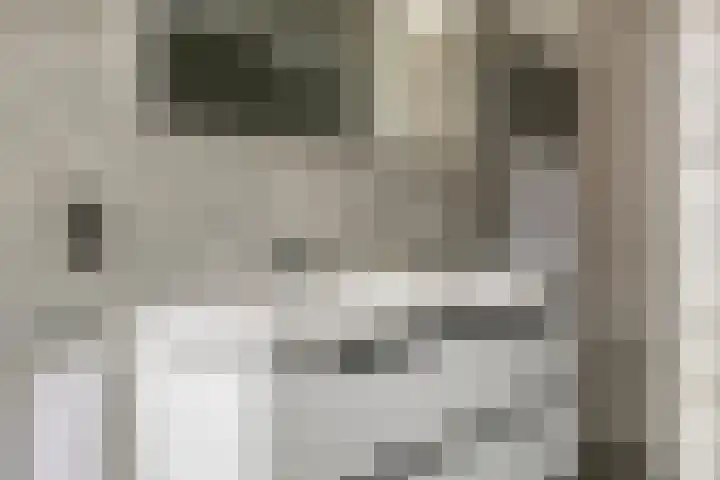 Annekeswei 6 Klein Zundert thumbnail 50