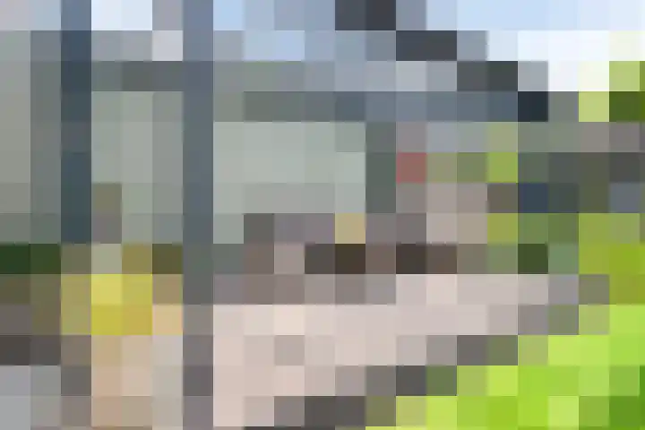 Annekeswei 6 Klein Zundert thumbnail 58