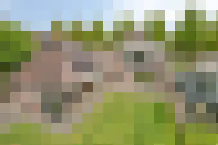 Annekeswei 6 Klein Zundert thumbnail 64