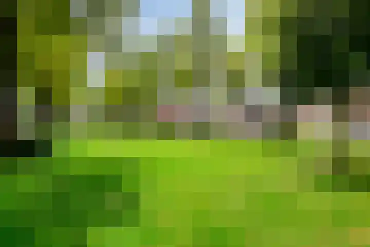 Annekeswei 6 Klein Zundert thumbnail 65