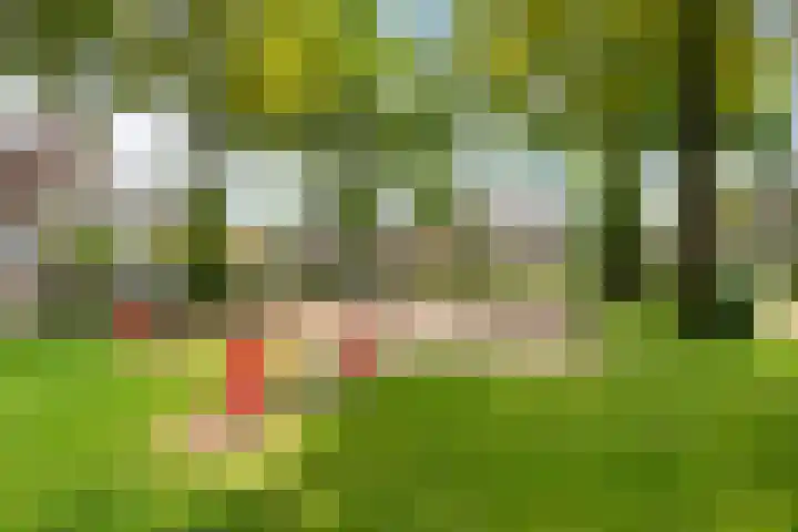 Annekeswei 6 Klein Zundert thumbnail 66
