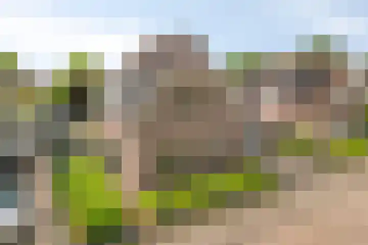 Annekeswei 6 Klein Zundert thumbnail 67