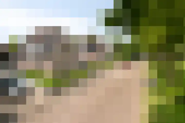 Annekeswei 6 Klein Zundert thumbnail 69