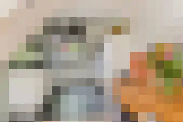 Annelies Kingmahof 17 Zutphen thumbnail 10
