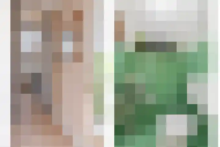 Annelies Kingmahof 17 Zutphen thumbnail 15