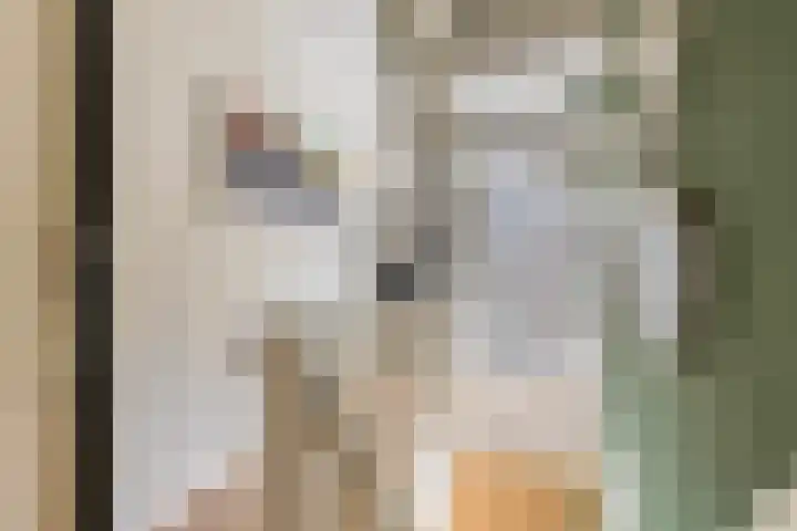 Annelies Kingmahof 17 Zutphen thumbnail 18
