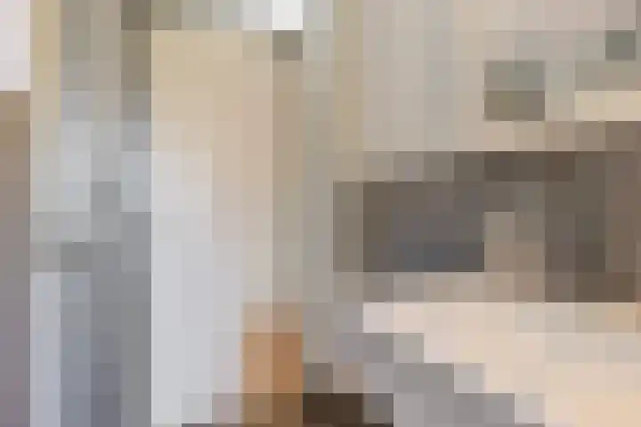 Annelies Kingmahof 17 Zutphen thumbnail 22