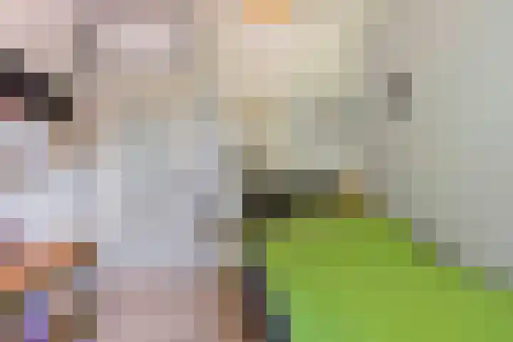 Annelies Kingmahof 17 Zutphen thumbnail 25