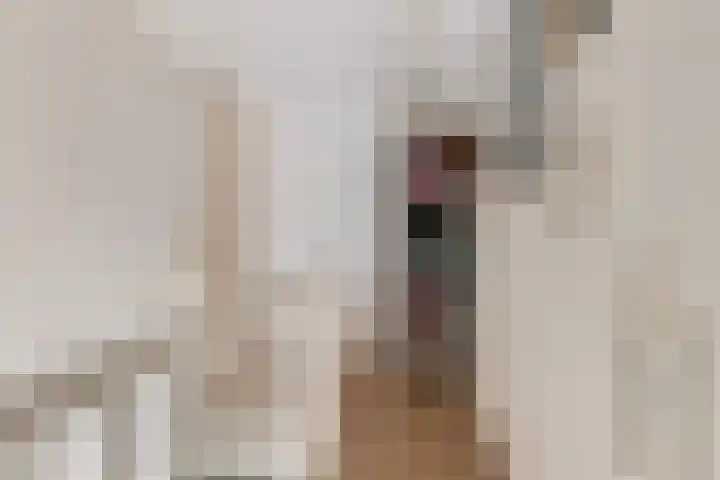 Annelies Kingmahof 17 Zutphen thumbnail 27