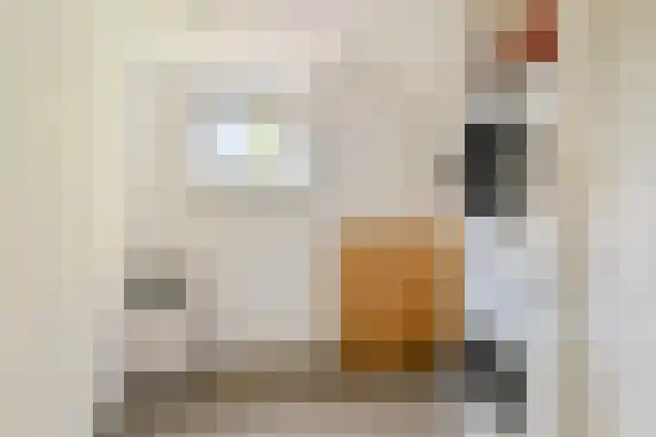 Annelies Kingmahof 17 Zutphen thumbnail 31