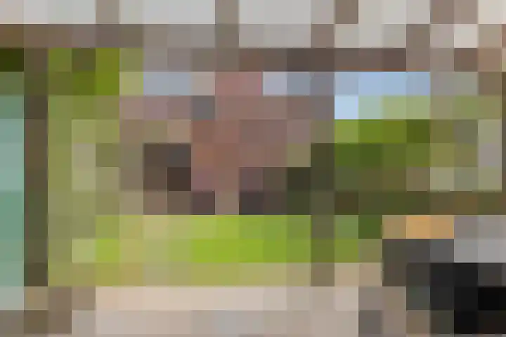 Annelies Kingmahof 17 Zutphen thumbnail 34