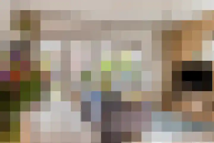 Annelies Kingmahof 17 Zutphen thumbnail 4