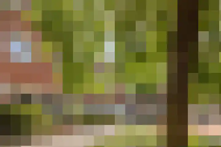 Annelies Kingmahof 17 Zutphen thumbnail 40