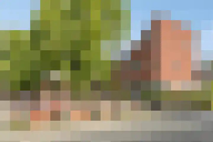 Annelies Kingmahof 17 Zutphen thumbnail 42