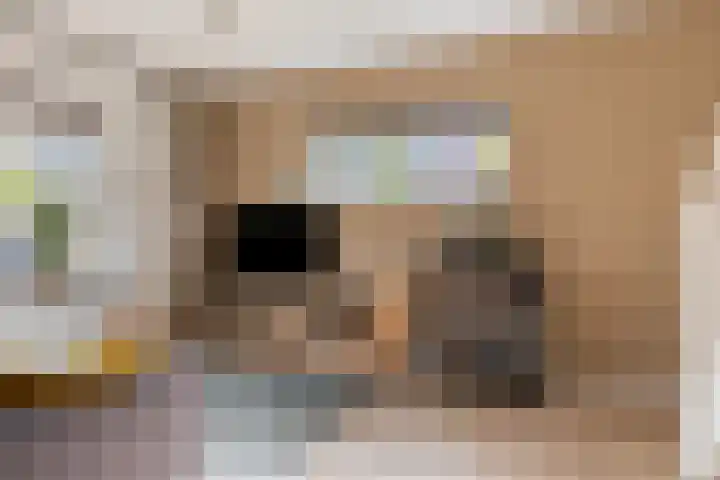 Annelies Kingmahof 17 Zutphen thumbnail 7