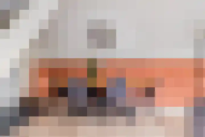 Annelies Kingmahof 17 Zutphen thumbnail 8