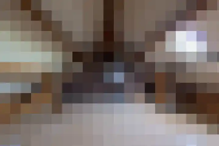 Annendaalderweg 41 Maria Hoop thumbnail 13