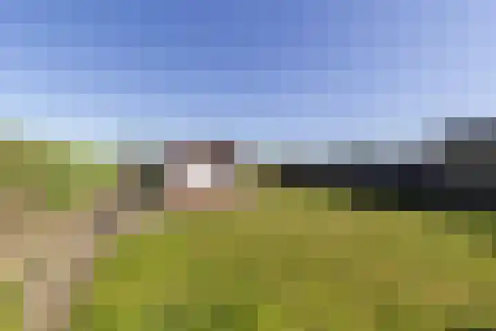 Annendaalderweg 41 Maria Hoop thumbnail 15