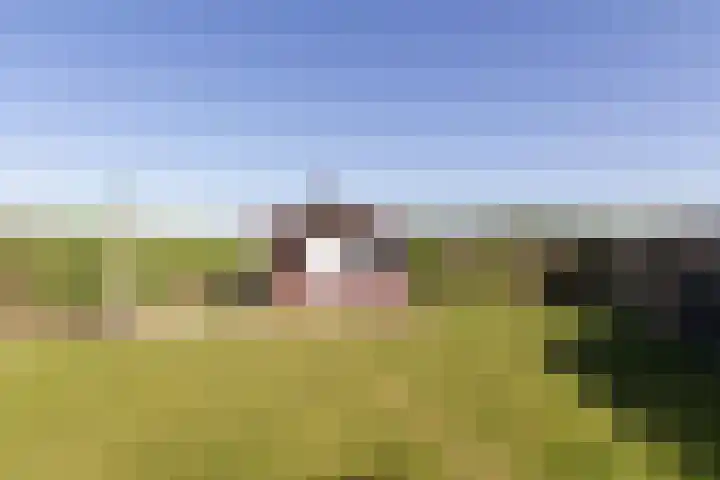 Annendaalderweg 41 Maria Hoop thumbnail 16