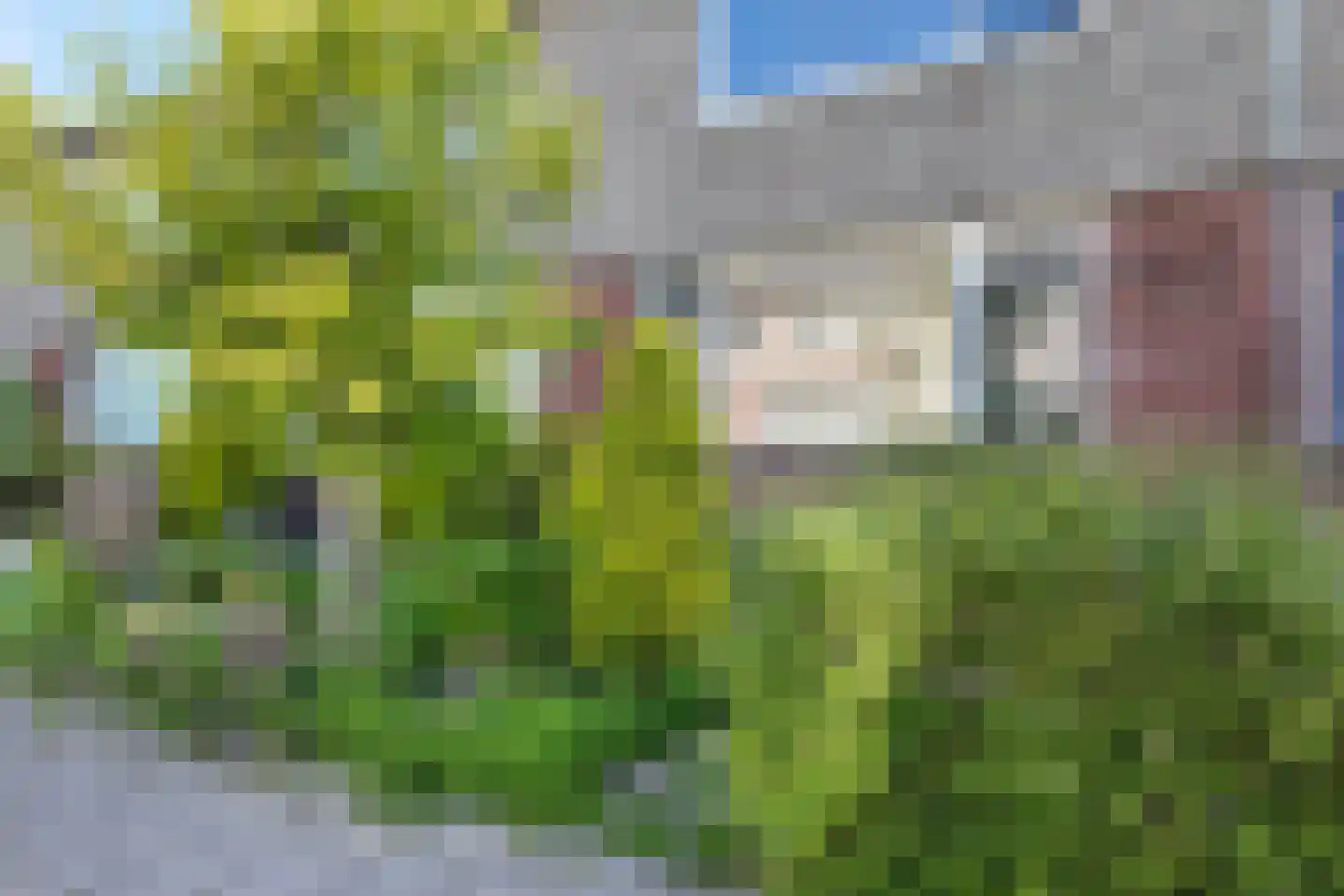 Annendal 40 Zevenbergen thumbnail 54