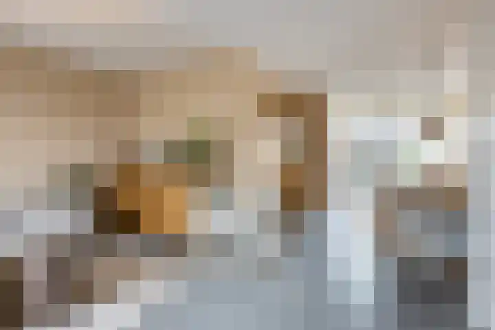 Annenkamp 51 Wapenveld thumbnail 10