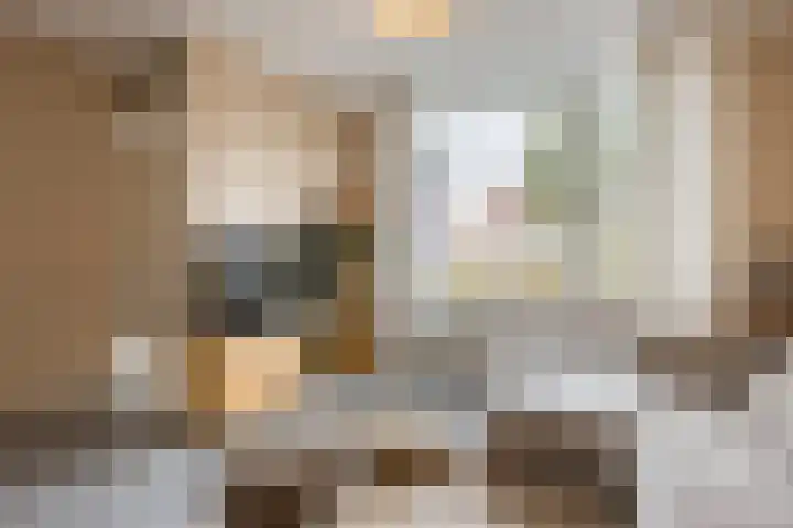 Annenkamp 51 Wapenveld thumbnail 12