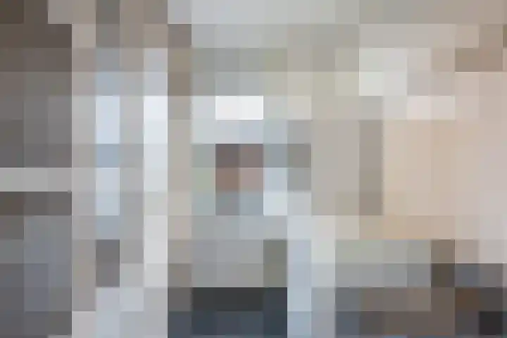 Annenkamp 51 Wapenveld thumbnail 15