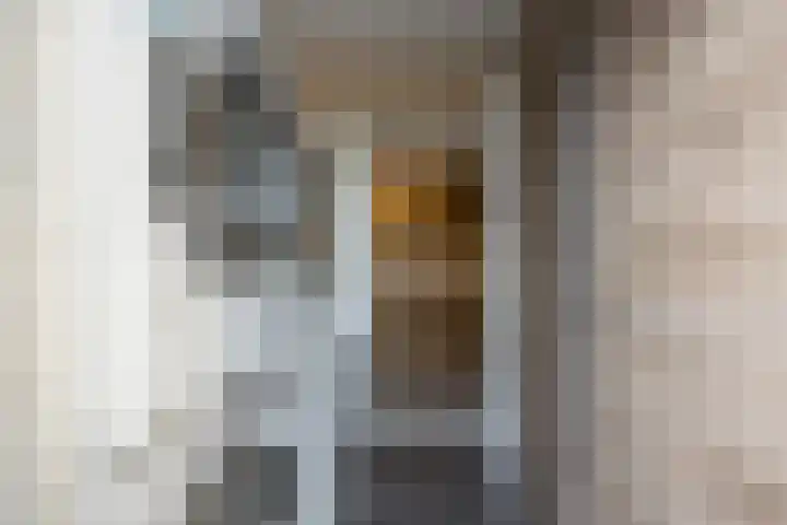 Annenkamp 51 Wapenveld thumbnail 16