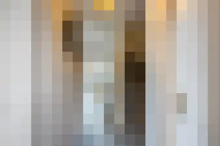 Annenkamp 51 Wapenveld thumbnail 17