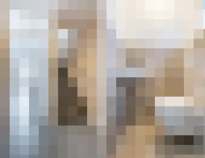 Annenkamp 51 Wapenveld thumbnail 18