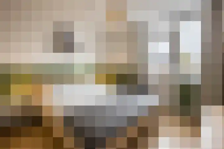 Annenkamp 51 Wapenveld thumbnail 22