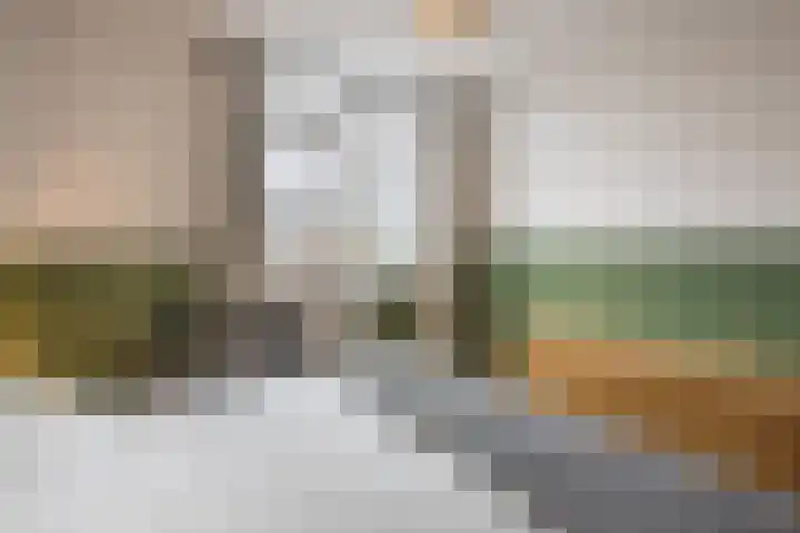 Annenkamp 51 Wapenveld thumbnail 23