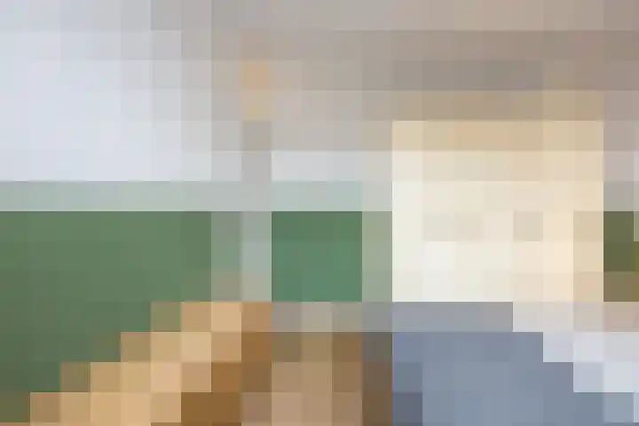 Annenkamp 51 Wapenveld thumbnail 24