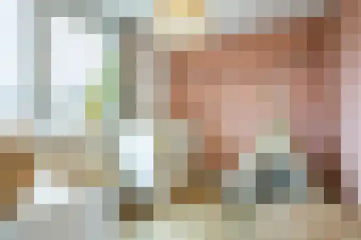 Annenkamp 51 Wapenveld thumbnail 25