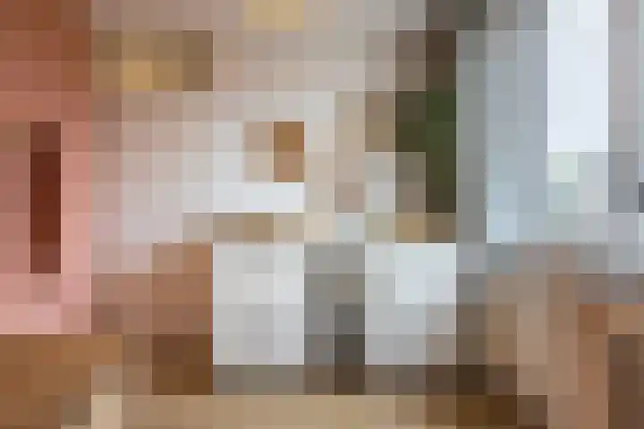 Annenkamp 51 Wapenveld thumbnail 26