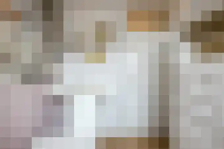 Annenkamp 51 Wapenveld thumbnail 28