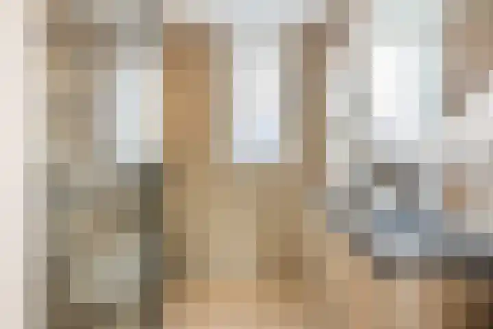 Annenkamp 51 Wapenveld thumbnail 29