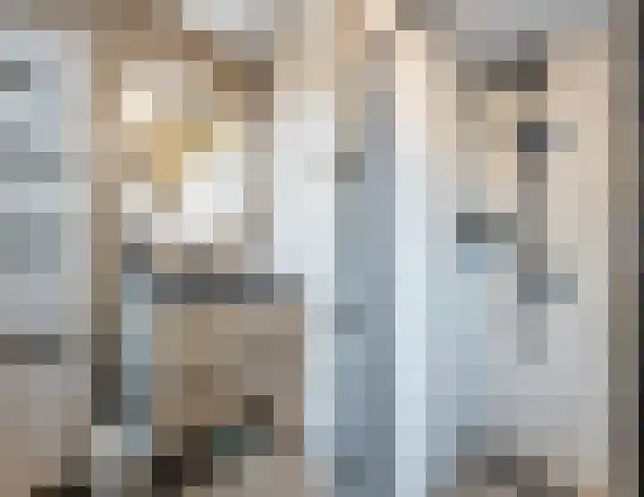 Annenkamp 51 Wapenveld thumbnail 30