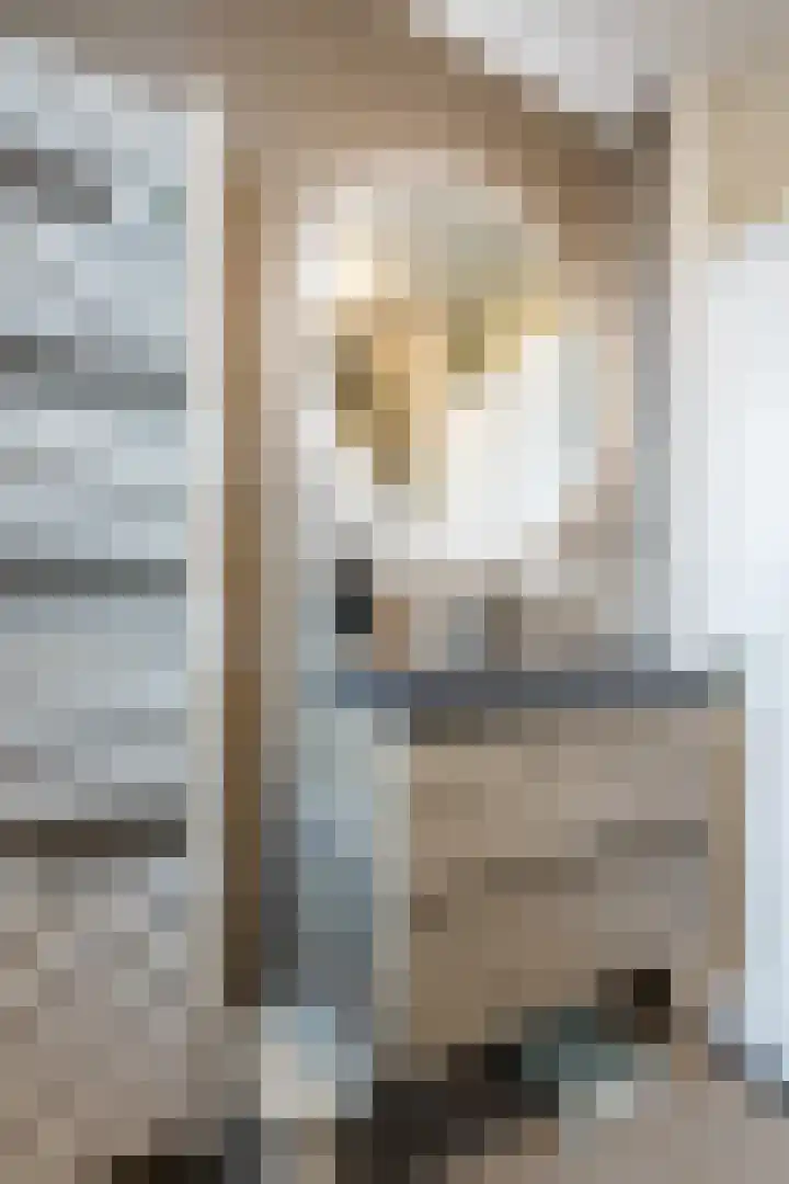 Annenkamp 51 Wapenveld thumbnail 31