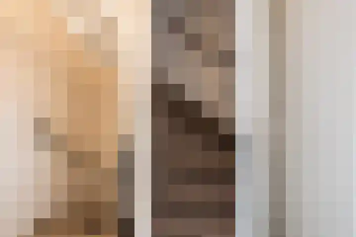 Annenkamp 51 Wapenveld thumbnail 33