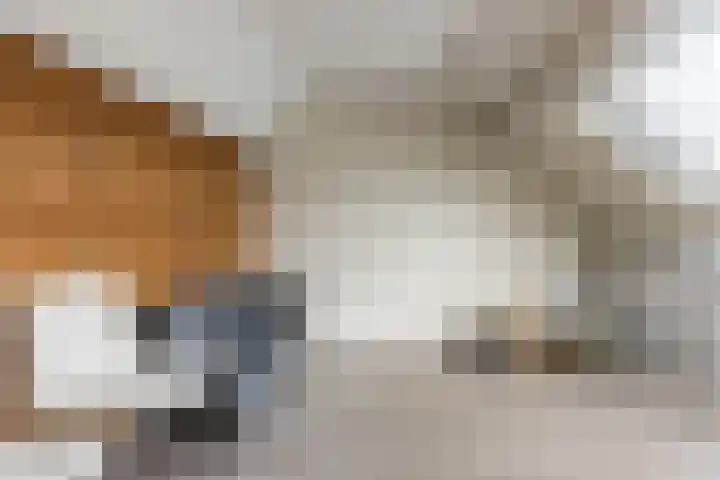 Annenkamp 51 Wapenveld thumbnail 34