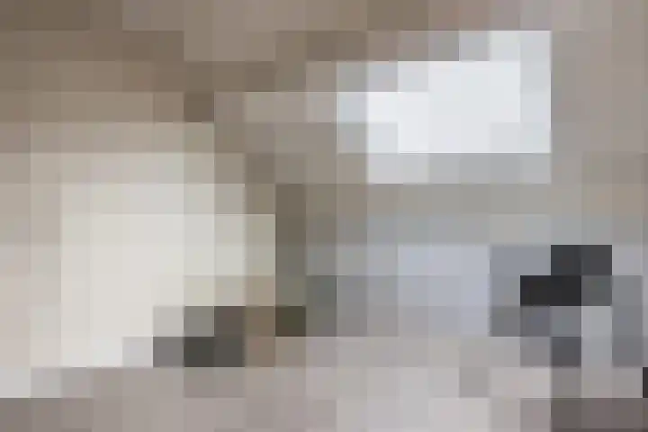 Annenkamp 51 Wapenveld thumbnail 36