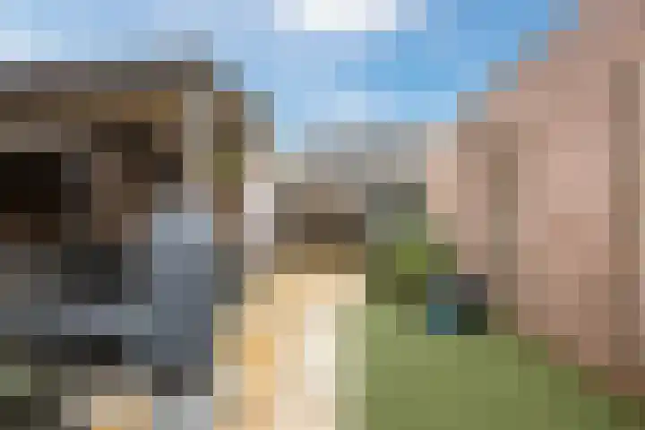 Annenkamp 51 Wapenveld thumbnail 38