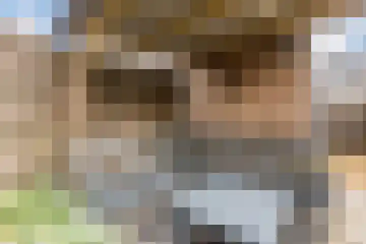 Annenkamp 51 Wapenveld thumbnail 39