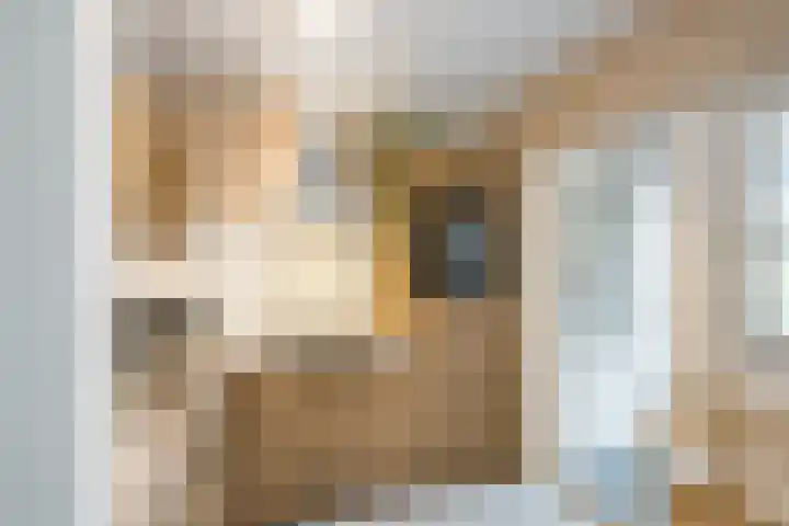 Annenkamp 51 Wapenveld thumbnail 4